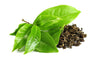 Camella Senensis Leaf Extract