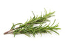 Rosemary Extract